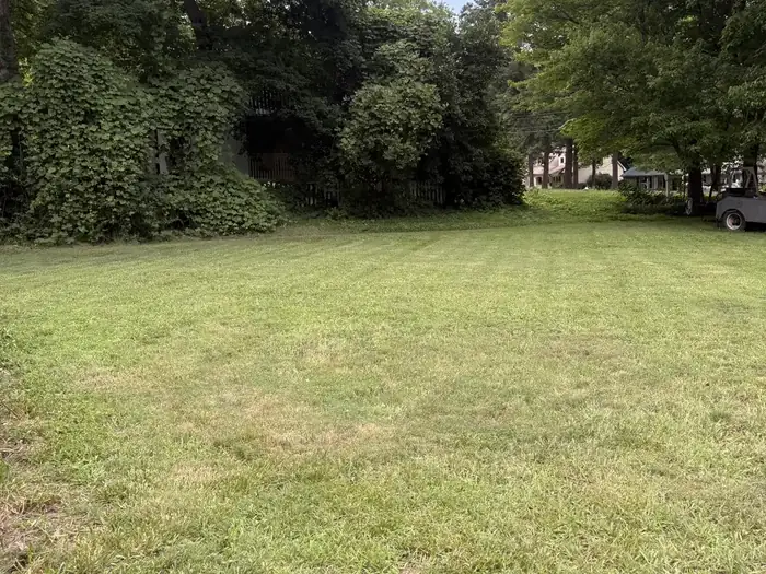 Back yard after Gaskins Lawn Care mowed and trimmed it