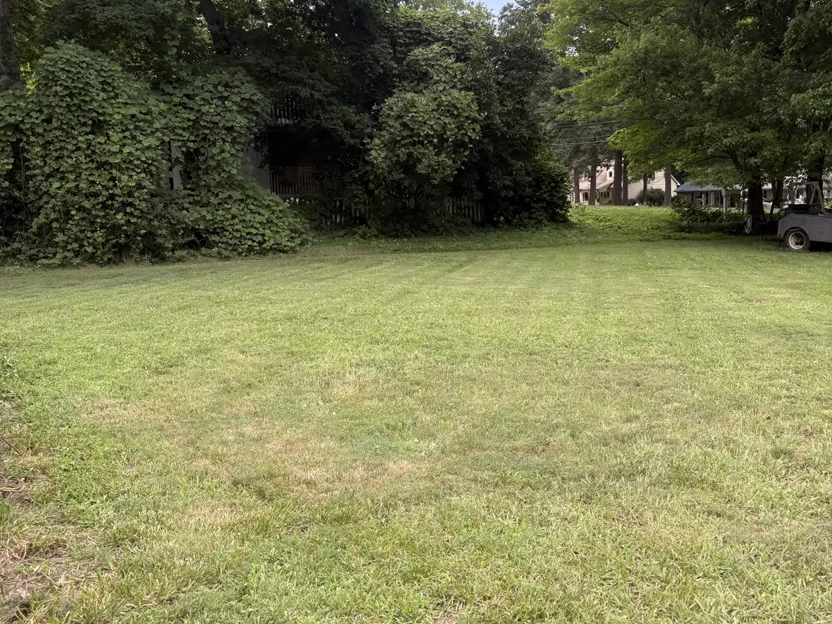 Backyard freshly mowed