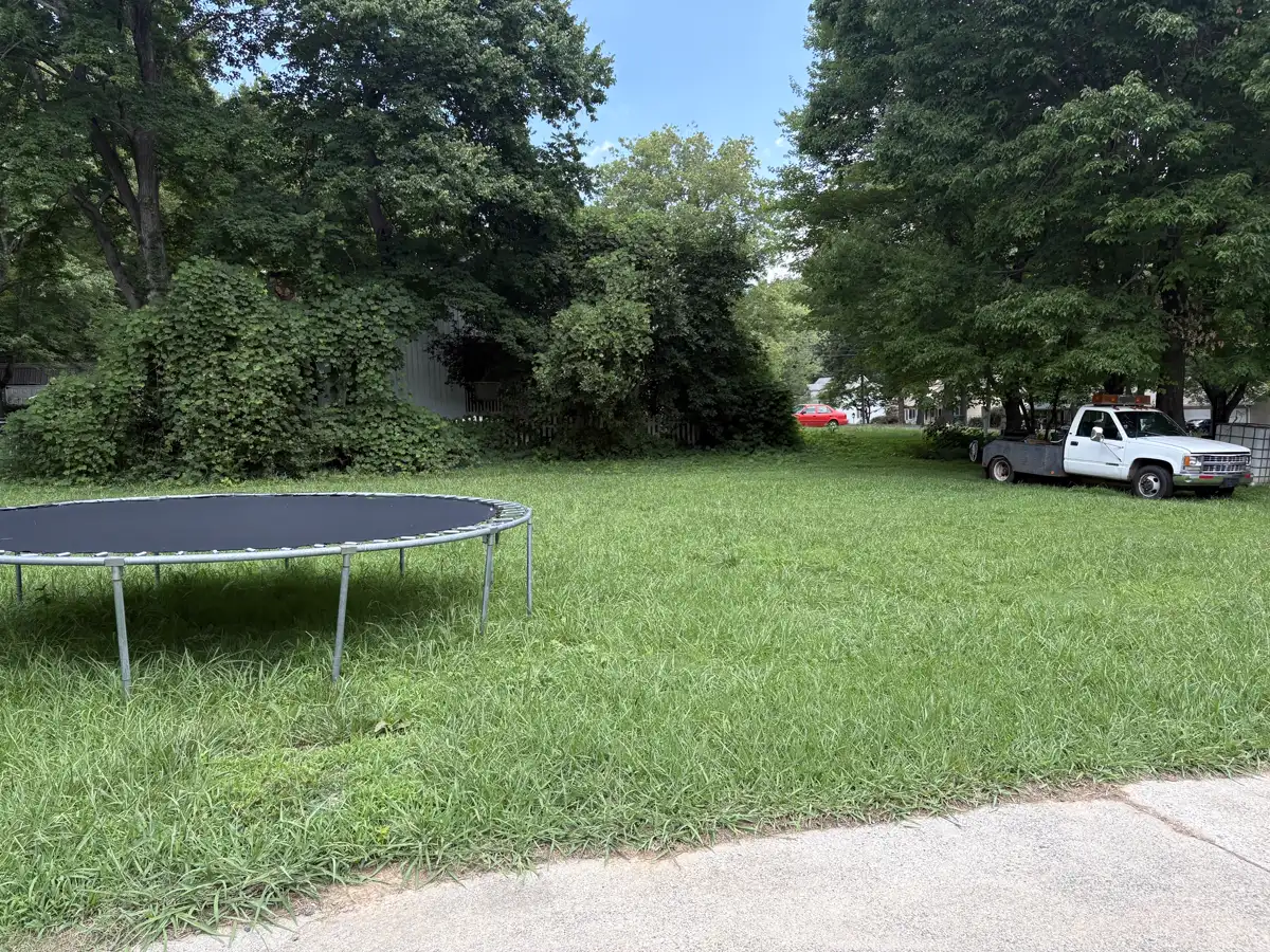 Backyard before mowing, grass grown tall