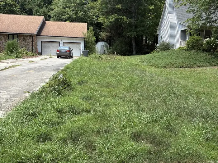 Shaggy grass along a driveway up to a brick ranch house