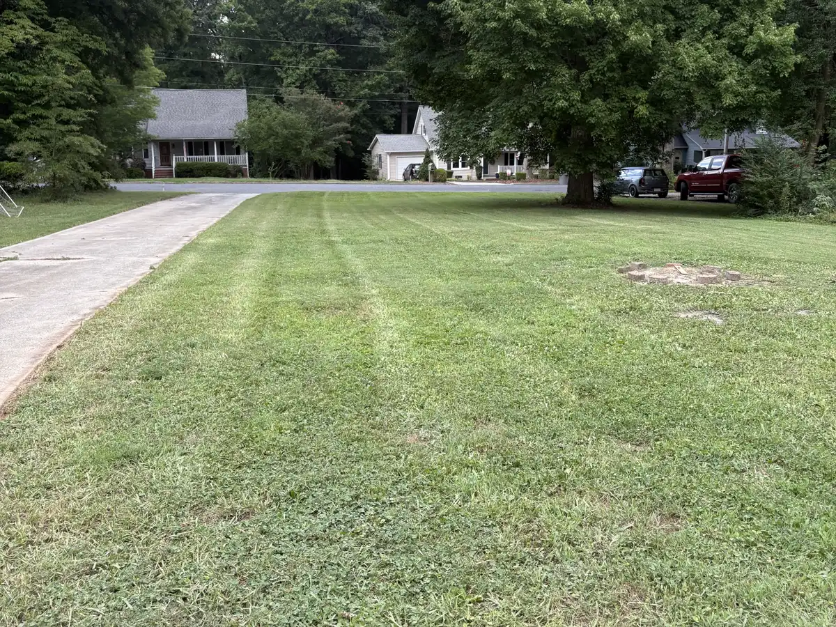 Front yard freshly mowed