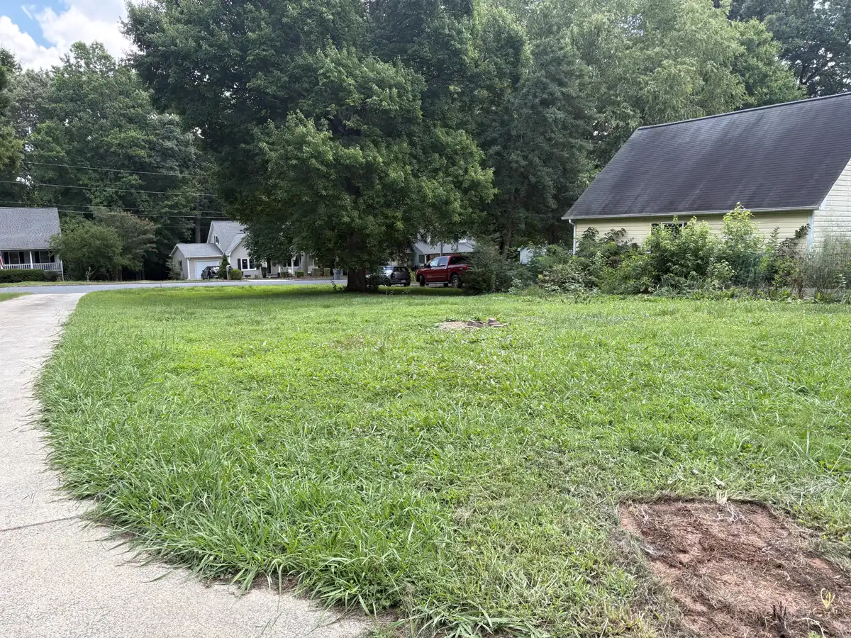 Front yard before mowing, grass grown tall