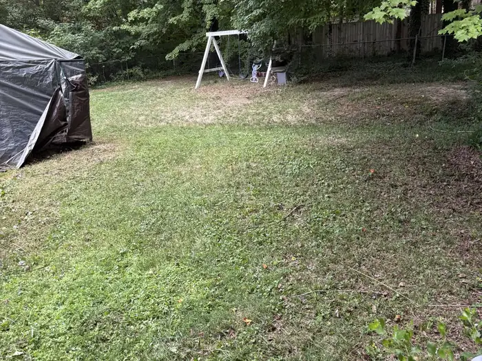 The same back yard after Gaskins Lawn Care mowed it