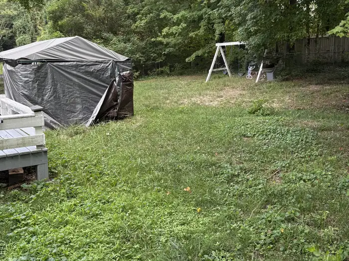 A back yard with a swing set and covered shed, grass grown up