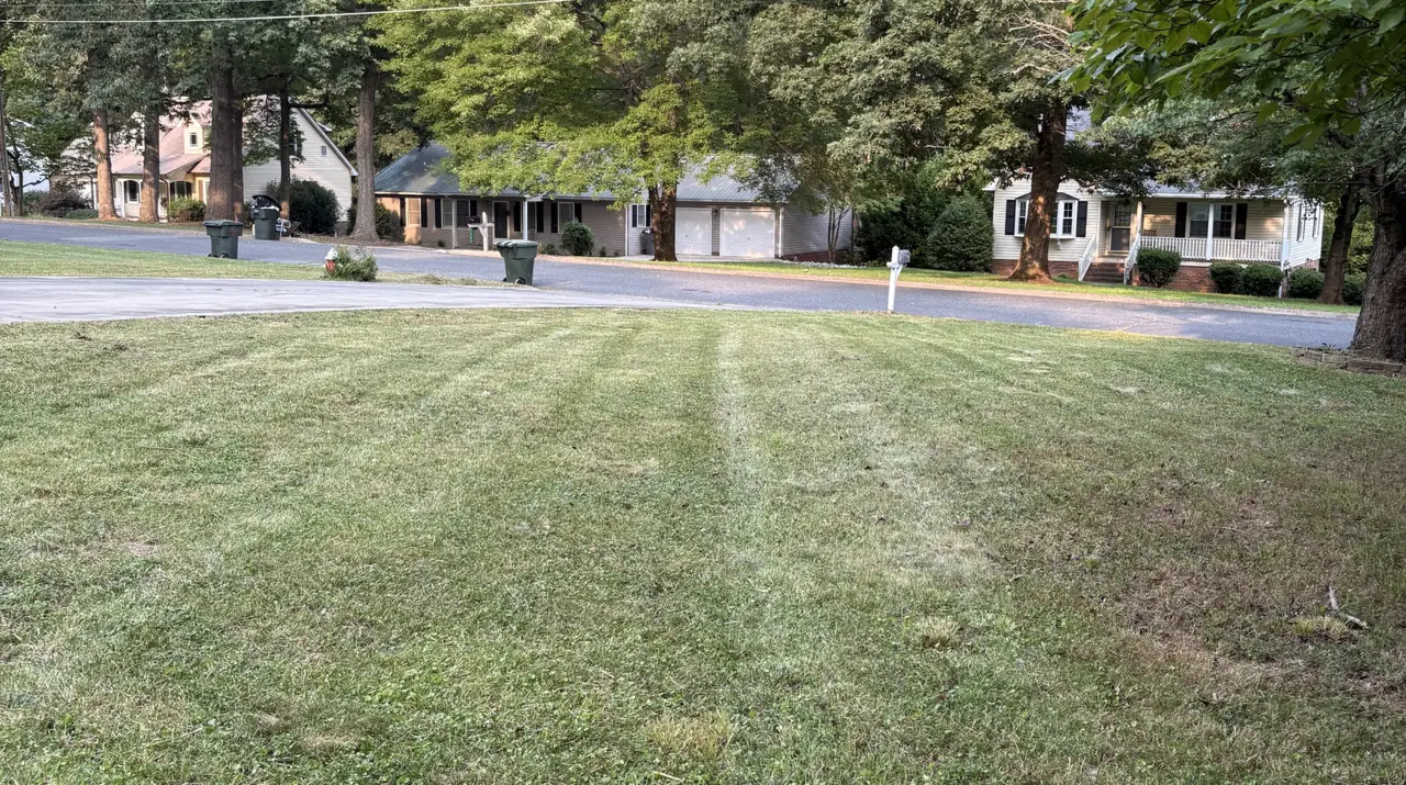 A front lawn with fresh mower stripes running down to the street